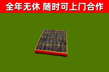 岳阳县回收海参
